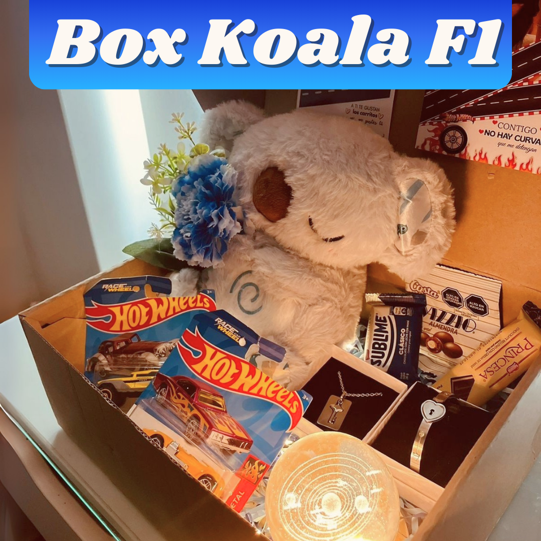 BOX KOALA  F1