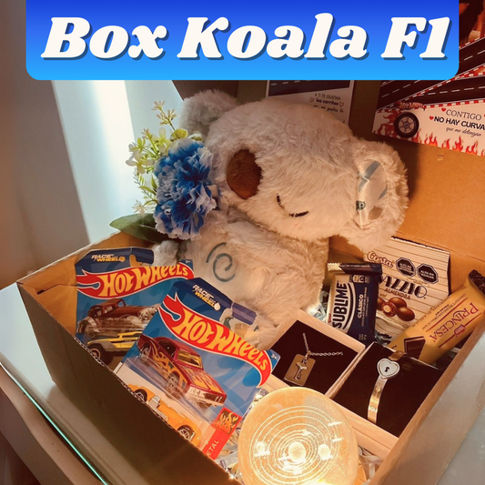 BOX KOALA  F1