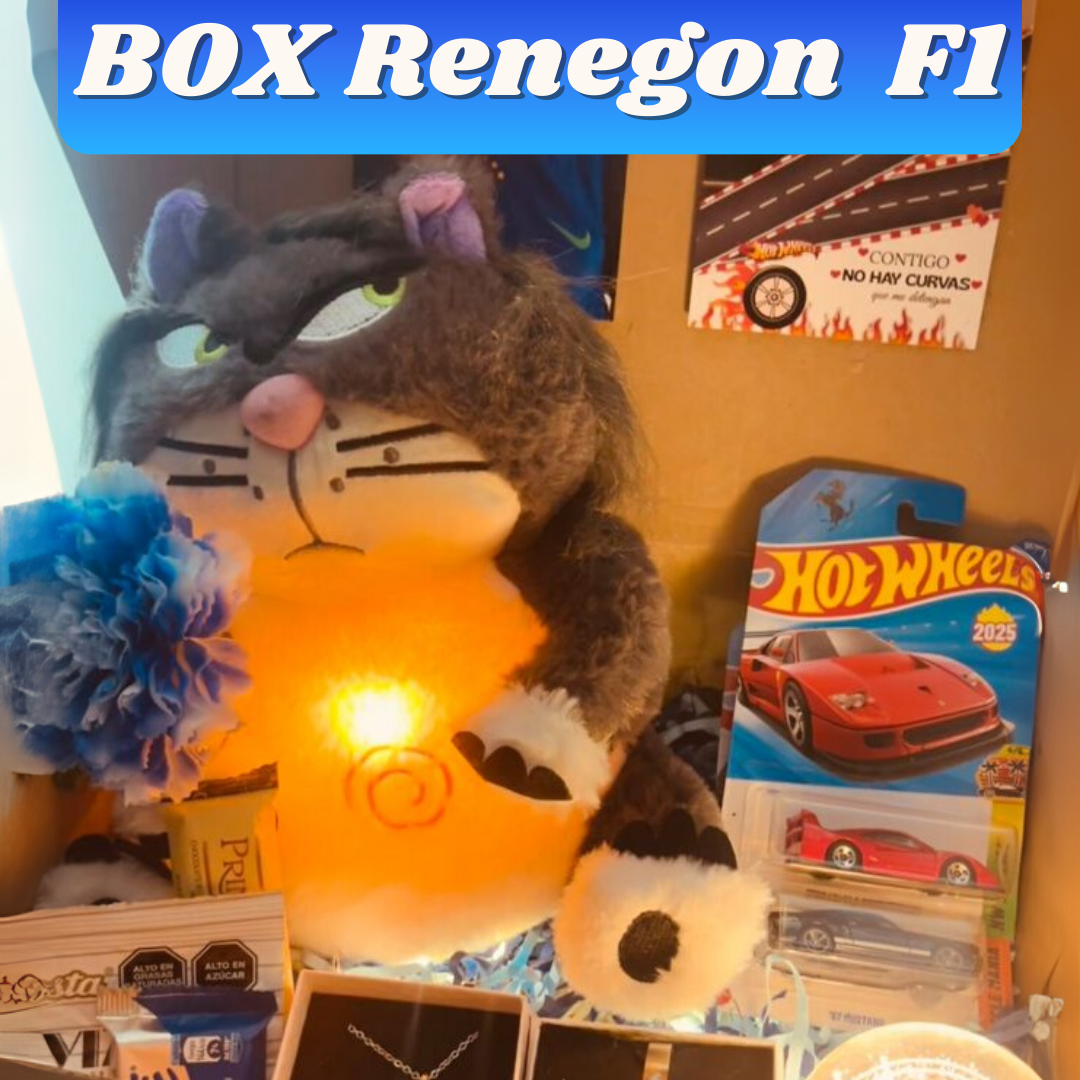 Pack mi renegon F1