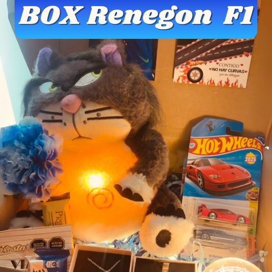 Pack mi renegon F1