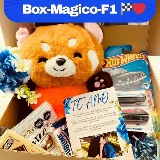 BOX-MAGICO F1